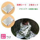 2枚セット 大判アルミブランケット型 防寒シート 保温 毛布代わり エマージェンシーシート 折りたたみ 軽量 アウトドア 避難 車載 車中泊 豪雪 防災用品 グ...