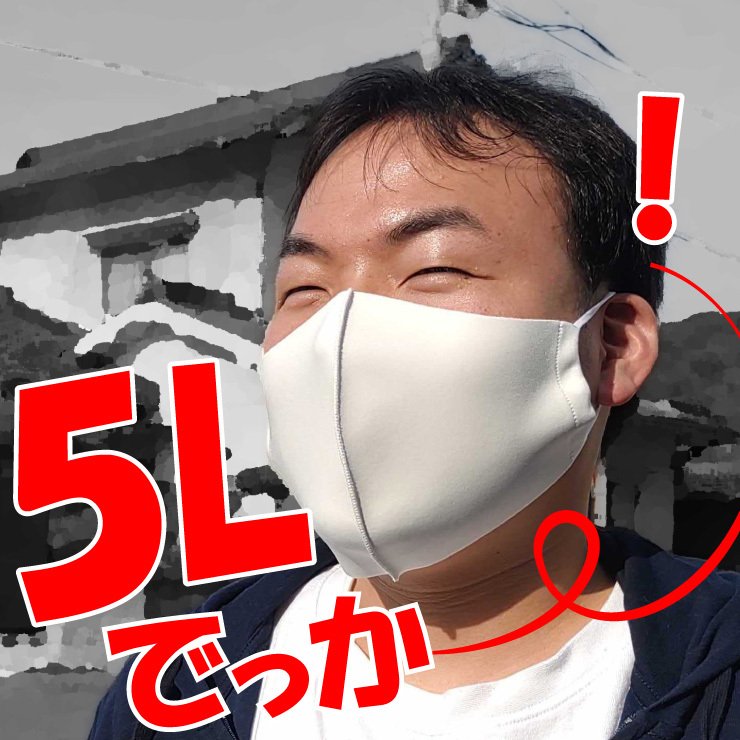 大きいマスク部門で売れています　日本製　 超BIG！3L・4Lサイズ 柔らかい生地で作った 肌触りのよい 抗菌 立体布マスク 2枚組 非医療用 大きめ マスク 飛沫防止 敏感肌 耳ゴムアジャスター付き やわらかい 19cm 21cm