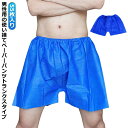 メンズ 紙 55枚入 紙ショーツ 男性用 携帯 ディスポ パンツ 下着 ショーツ 紙パンツ ボクサーパンツ 使い捨て ペーパートランクス 紙トランクス 使い捨て...
