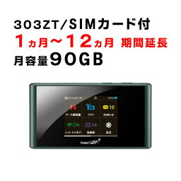 【1ヶ月～12ヵ月ご利用期間延長】モバイルWiFi　303ZT　ご利用期間