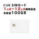 ドコモ　SIMカード　月容量100GB　ご利用期間延長　docomo