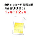 【1ヵ月から12ヵ月ご利用延長】楽天 SIMカード 月容量300GB ご利用期間間延長 Rakuten