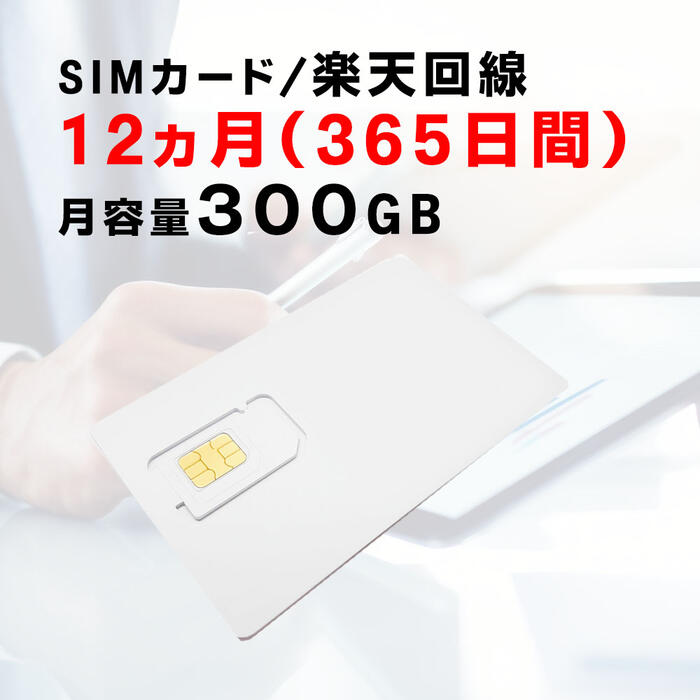 e300GB@yVKwz12i365ԁjp\@SIMJ[h@_sv@yV@Rakuten@@f[^ʐMSIM@@pԉ\@110GB̍ʐM@͂瑦p\@SNSQ[y߂I@S҂łȒPWiFi