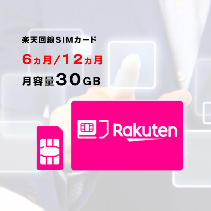 月容量30GB　【新規購入】6ヵ月/12ヵ月利用可能　SIM