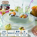 流しそうめんグッズ Toffy 流しそうめん器 流しそうめん機 電動 自動 そうめん流し 家庭用 電池式 コードレス LEDライト 光る 卓上 氷ポケット 冷え ひんやり 薬味皿 カバー おしゃれ コンパクト アウトドア キャンプ 屋外 屋内 プレゼント トフィー