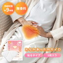 【新商品】 カイロ 使い捨てカイロ 貼るタイプ 貼る お腹 腹 腰 おなか 小さい ミニカイロ 通勤 通学 レジャー キャンプ 9時間 室内 防寒 寒さ対策 災害対策 防災グッズ 防災用品 避難用品 防寒対策 冷え対策 冷房対策 女性用