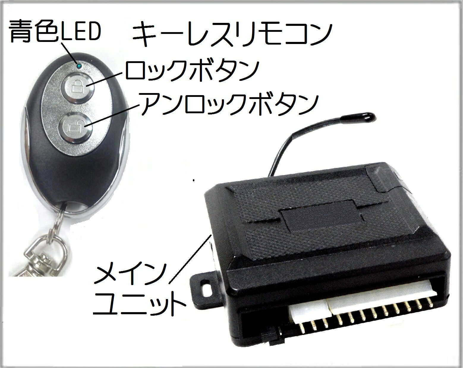 ��⥳��ɥ����å������쥹����ȥ꡼�᥿��ǥ����󡡥ե�åȥ����ץ�ǥ롧46��1879E�ʥ�⥳��1��+������&�ϡ��ͥ�)2���å�