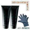 【2本セット】イリヤ カラーコート デコレ 160g 全27色 ヘアマニキュア IRIYA COLOR COAT DECOR カラーデコレ 業務用 プロ用 サロ...