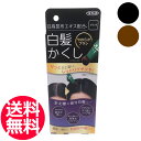 送料無料 日高白髪かくし 20g ブラック ダークブラウン TO-PLAN 東京企画販売 トプラン 日高昆布 部分 白髪 染毛料 生え際 お手軽【CL】