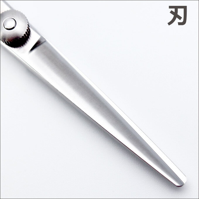 �ȥ�ߥ󥰥����� �ѥ����˥� PIONEER LRZC-550F�ʥ��åȡ����硼�ȡ�5.5������˺��ѥ��硼�ȥ����� ������� �ڤϤ��� ���� �ץ��ѥ����� �ڥå��ѥ����� �� �ϥ��� �ȥ�ߥ� �ȥ�ޡ� ���å� �ȥ�ߥ����� �����������ʡ�����̵����CP��