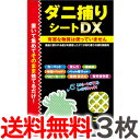 【3枚セット】送料無料 トプラン ダニ捕りシート DX Mサイズ2畳用 3枚入り×1パック だに 取り ダニシート マット 東京企画 ダニキャッチャー【TG】