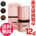 送料無料 ルアン スーパーミリオンヘアー SMH ヘアファンデーション 12g【ヘアカバー ヘアファンデ 白髪隠し 分け目カバー 生え際カバー 白髪カバー 薄毛 シラガ しらが パウダー【TG】