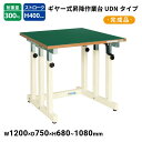 【スーパーセール限定!店内全商品ポイント10倍!※要エントリー】 サカエ ギヤー式昇降作業台 サカエリューム天板 UDN-127FEN W120×D750×H6...