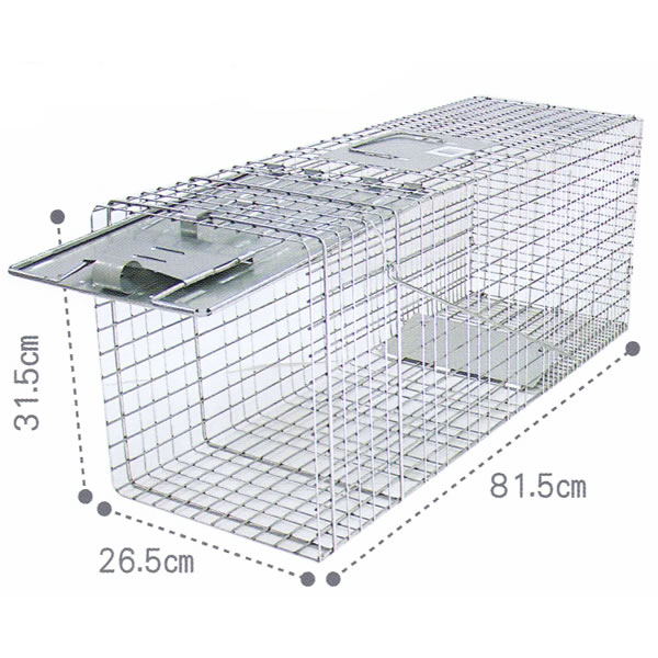 ���˥ޥ�ȥ�å� MODEL1079 �淿ưʪ��Ȣ��� 6006