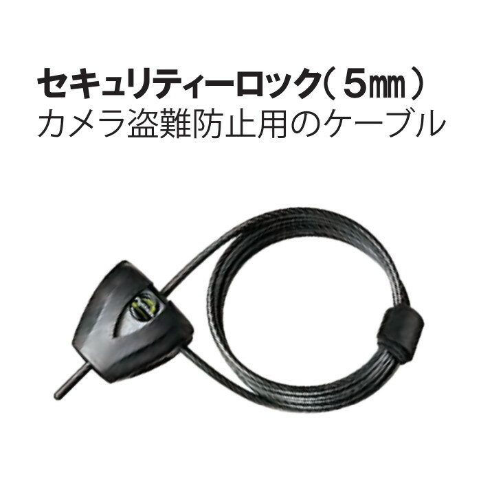 セキュリティーロック センサーカメラ 5mm 盗難防止 ファームエイジ FAR夢