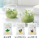 tuchinashiプチ菜園 ガーデニング 植物 種 栽培セット 土なし プリムレア ルッコラ レッドロメイン レッドオーク