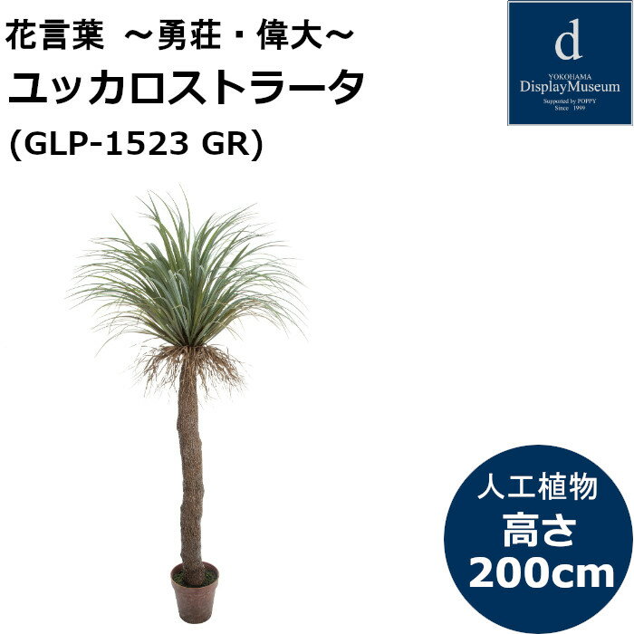 glp-1523-001.jpg glp-1523-001.jpg