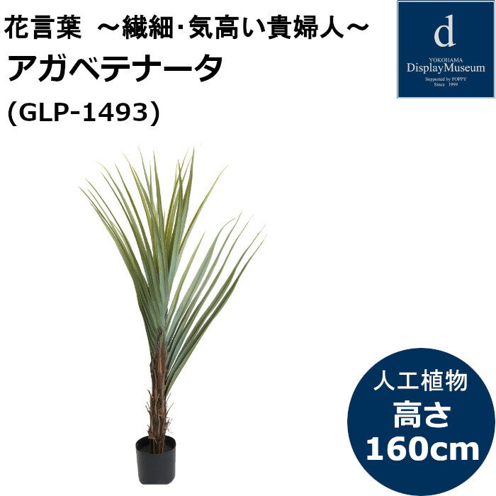 【ブラックフライデー期間エントリーでポイント10倍】 アガベテナータ GLP-1493 人工観葉植物 鉢付観葉植物 フェイクグリーン 造花