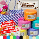 【新色8色販売中】 PPバンド 手芸 手芸用PPバンド プラカゴ バッグ 手芸バンド 15mm 15mm×100m 標準色 信越工業 年中無休発送