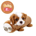 【最大100%ポイントバック 4/1〜4/30限定 ※エントリー】 【在庫処分セール】マルカン ボトル湯たんぽカバー ナマケモノ 犬用品 猫用品 湯たんぽ 小さ...