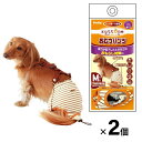 【在庫処分セール】ペティオ ずっとね 老犬介護用 おむつパンツ Mサイズ 2個セット 小型犬用