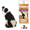 【在庫処分セール】ペティオ ずっとね 老犬介護用 おむつパンツ 2Lサイズ 2個セット 中型犬用