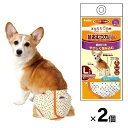【在庫処分セール】ペティオ ずっとね 老犬介護用 紙おむつカバーLサイズ 2個セット 中型犬用