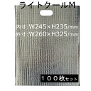 保冷袋 アルミ蒸着 アルミ保冷袋 W245×H235 ライトクールM 100枚