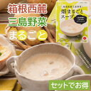 箱根西麓三島野菜 畑まるごとスープ「三島馬鈴薯と三島大根のクリームスープ」 150g袋 野菜スープ クリームスープ 常備 非常食 レトルトパウチ 食品ロス削減 クリーミー 濃厚 ふじのくに新商品セレクション 朝食 夕食 夜食 離乳食 介護食 ギフト 贈答