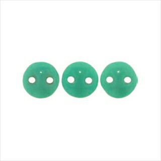 �������ᥤ�� LENTIL 6mm �ڥȡ��ۡ��ӡ����������ե����ȥ꡼ľ����