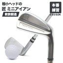 匠ミニアイアン 軟鉄鍛造 極小ミニヘッド 小ぶりヘッド 小型アイアン 練習器具 トレーニング 本番でも使える 42度 35インチ スチールシャフト NS製シャフ...