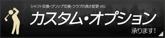 オプション（3,300円分）