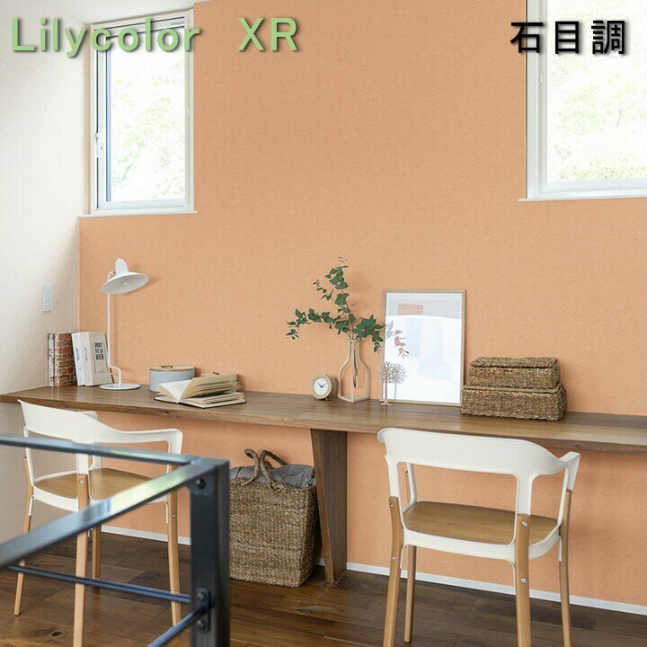 ŵȂYǎx JXR NX Ζڒ sR h \ʋxAbv Lilycolor XR NX GbNXA[2021-2023