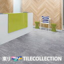 【送料無料】 東リ 床材 300mmx450mm ビアラクティアストーン ECT5003 ECT5004 フロアタイル TOLI 抗ウイルス加工 NO WAX ...