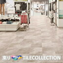【送料無料】 東リ 床材450mmx450mm フォグライム ECT5007 ECT5008 ECT5009 フロアタイル TOLI 抗ウイルス加工 NO WA...