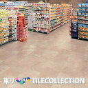 【送料無料】 東リ 床材450mmx450mm サンドストーン ECT5010 フロアタイル TOLI 抗ウイルス加工 NO WAX イークリン NW-EX【ケ...