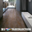 【送料無料】 東リ 床材 450mmx900mm アイアンプレート ECT5012 R面取 フロアタイル TOLI 抗ウイルス加工 NO WAX イークリン・モ...