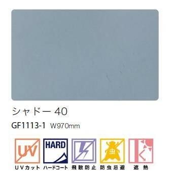 【6月限定エントリーで最大100%Pバック】ガ...の紹介画像2