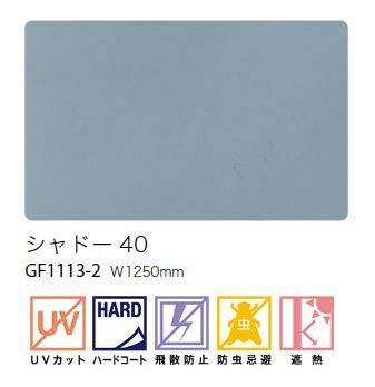 【6月限定エントリーで最大100%Pバック】ガ...の紹介画像2