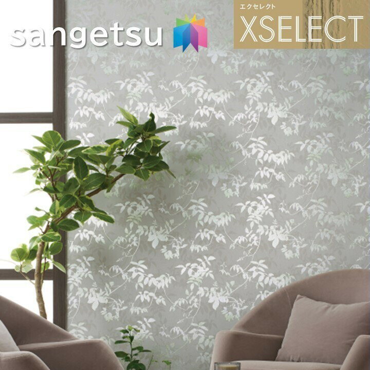 ɻ 󥲥 Τʤɻ 쥯 ѥ  SGA2513SGA2515 XSELECT 2021-2024 饯 ...