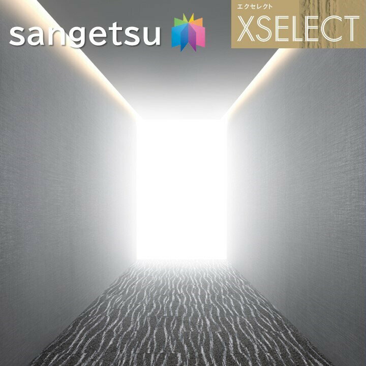 ɻ 󥲥 Τʤɻ 쥯  SGB2014SGB2015 XSELECT 2021-2024 饯 ǥ ɻ ǥ͡