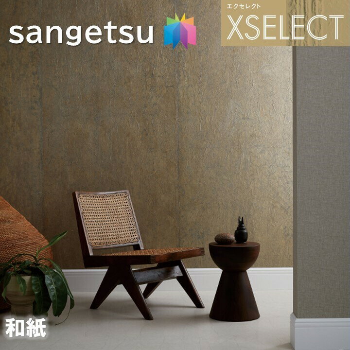 ɻ 󥲥 Τʤɻ 쥯 » SGB2036 ͤμŻ XSELECT 2021-2024 饯 ǥ ɻ ǥ͡ 