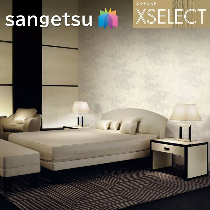 ɻ 󥲥 Τʤɻ 쥯 ARMANI/CASA SGB2322SGB2323 XSELECT 2021-2024 ...