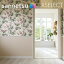 ɻ 󥲥 Τʤɻ 쥯 Sanderson SGB2396 XSELECT 2021-2024 饯 ǥ ɻ ǥ͡