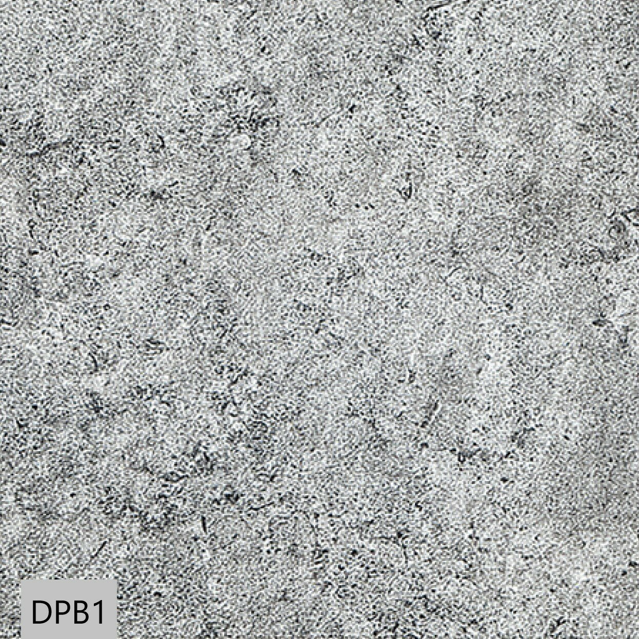 ��������åȥץ饹 �ꥯ���� INAX ECPCARAT ECP��6301T/DPB1 (R) ���졼 605��302 ����7.0 �ǥ����ץХ���� ���̾�ü�ž夲(û��) ������ �ڥå� æ�� ���� ��Ϫ Ĵ������ ���� ���� DIY �ܹ��������դ� 1Ȣ 1������ 7������