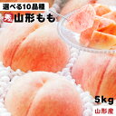 山形県産 桃 秀品 5kg 選べる10品種 16~18玉 贈答 ギフト あかつき まどか 川中島白桃 おどろき 美月 美晴白桃 さくら 青空むすめ 西王母 伊達白桃 1玉約270~310g 贈り物 山形の桃はおいしい 果物 フルーツ 甘い もも プレゼント モモ 硬い桃 固い桃 柔らかい桃 山形 5キロ