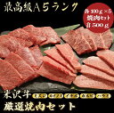 【★送料無料★米沢牛焼肉セット合計500g】　(ミスジ 100g，カイノミ 100g，イチボ 100g，カルビ 100g, ハラミ 100g)焼肉セット　米沢牛　和牛　焼肉　食べ比べ　A5 贈答品　お祝い　誕生日　お返し　景品　母の日　父の日　お中元