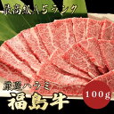 【★送料無料★福島牛　最高級A5ランク　ハラミ100g】　福島牛　和牛　黒毛和牛 焼肉 BBQ ハラミ　牛肉 国産　A5ランク　希少部位　高級　贈答品 ギフト　お祝い　御祝い　内祝　誕生日　お返し　御礼　景品　母の日　父の日　お中元