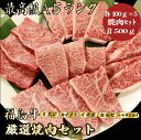 【★送料無料★福島牛焼肉セット合計500g】 ミスジ 100g，カイノミ 100g，イチボ 100g，カルビ 100g，トモサンカク100g 焼肉セット 福島牛 和牛 焼肉 食べ比べ A5 贈答品 お祝い 誕生日 お返し …