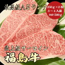 【福島牛 サーロイン 500g A5ランク / ギフト兼用】ご自宅でもギフトにも|お中元|父の日|福島牛 黒毛和牛 サーロインステーキ ステーキ サーロイン 霜...